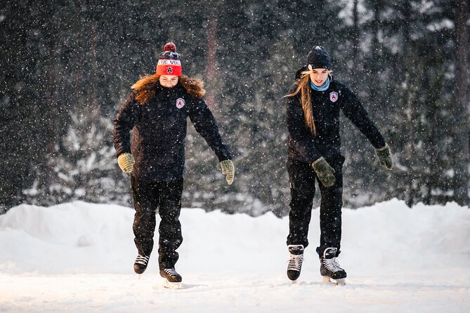 1 Day Pass Lapland Winter Park in Rovaniemi - Snow sculptures and the winter forest
