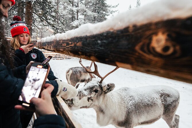 1 Day Pass Lapland Winter Park in Rovaniemi - Fire huts, hot chocolate, and the Kota Restaurant