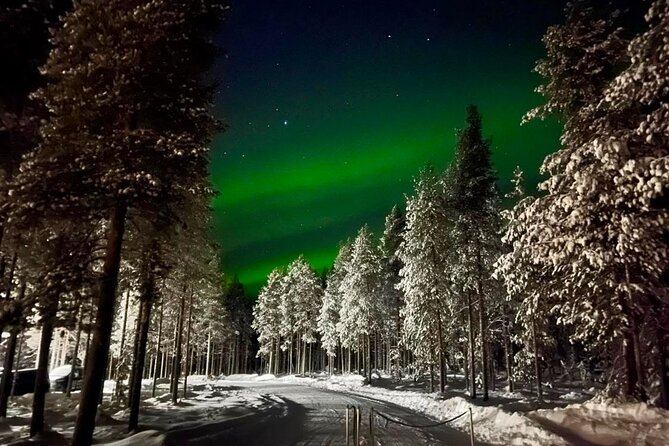 1 Day Pass Lapland Winter Park in Rovaniemi - Paid extras: sauna, mini snowmobiles, and ice karting