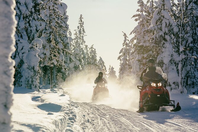 1 Hour Easy Snowmobile Safari in Levi - The license rule is strict, and it matters