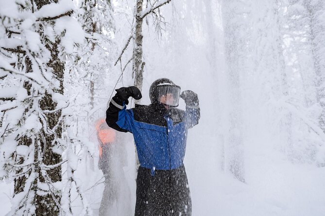 1 Hour Easy Snowmobile Safari in Levi - Is $118.95 a fair price?