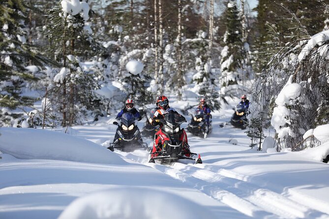 1-Hour Snowmobile Safari Adventure in Rovaniemi - A short Arctic ride with little wasted time