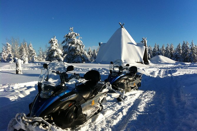 1-Hour Snowmobile Safari Experience - Is $120.15 good value?