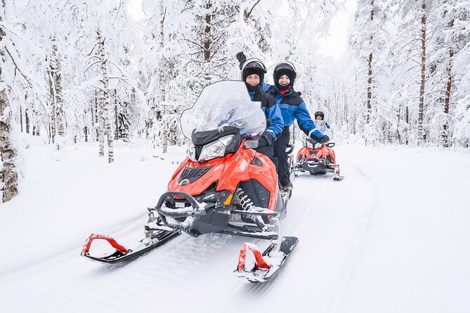 2 Hours Snowmobile Safari to the Levi Nature - Key points to know before you book