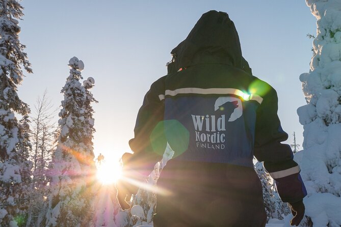 2 Hours Snowmobile Safari to the Levi Nature - Timing, weather, and the practical fine print