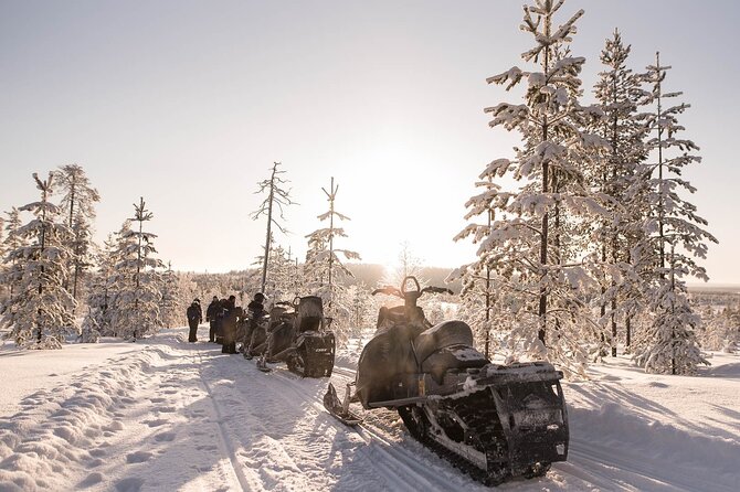 2 Hours Snowmobile Safari to the Levi Nature - Forest tracks and photo stops