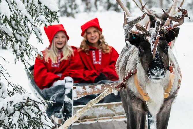 2km Sleigh Ride & Feeding Experience at Traditional Reindeer Farm - Key points to know