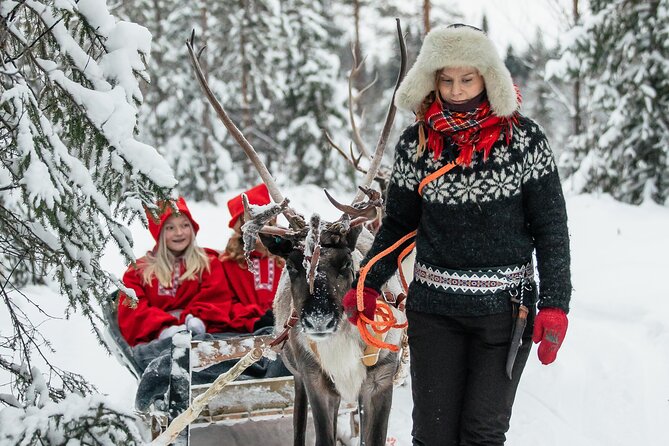 2km Sleigh Ride & Feeding Experience at Traditional Reindeer Farm - What the $116 price covers