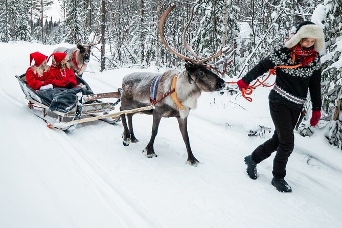 2km Sleigh Ride & Feeding Experience at Traditional Reindeer Farm - Clothing and comfort in Lapland