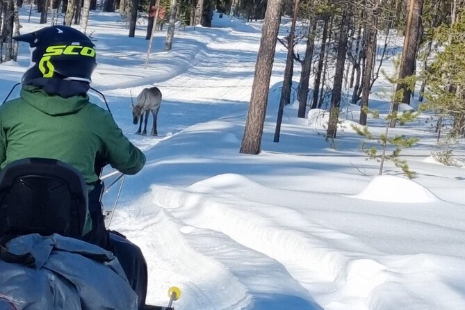 3 Days Raid Snowmobile in Finnish Lapland - Who will enjoy this three-day raid most