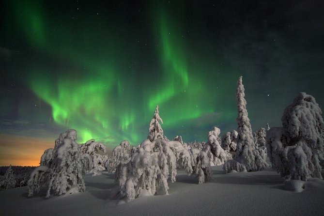 3-h Northern Light Safari by Snowmobiles From Levi - Sausages, Tea, and the Open Fire