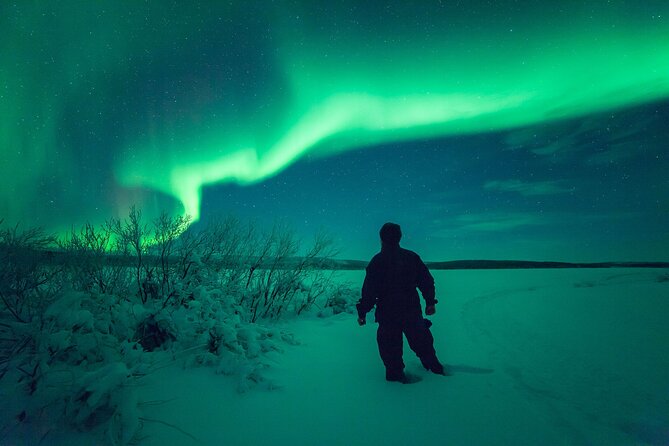 3-h Northern Light Safari by Snowmobiles From Levi - Is $222.29 a Fair Price?