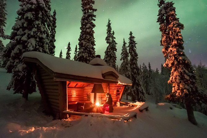 3-h Northern Light Safari by Snowmobiles From Levi - Who Will Enjoy This Most?
