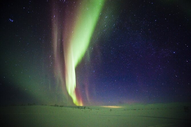 3-h Northern Light Safari by Snowmobiles From Levi - Booking Details That Matter