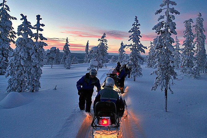 3-h Northern Light Safari by Snowmobiles From Levi - Should You Book the Levi Snowmobile Safari?