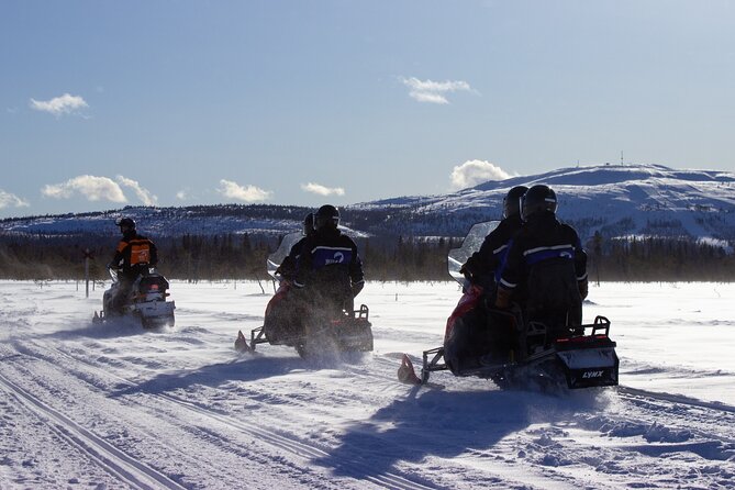 3 Hour Snowmobile Safari Around Levi with Coffee Break - The license rule is strict