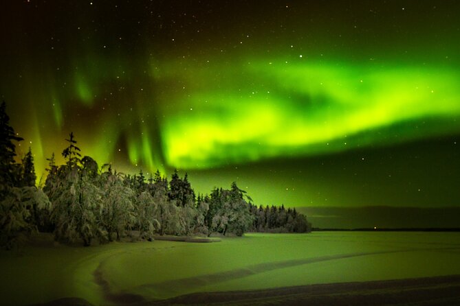 3-Hour Snowmobile Safari to Search Northern Lights in Levi - Cost, risk, and what the price really covers