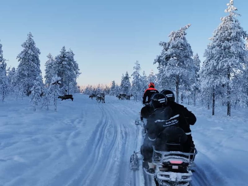 3-hour snowmobiling adventure in Levi - Pine trees, open snow, and the first taste of speed