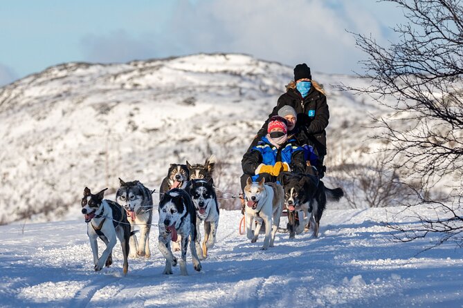 5KM Husky Sled Ride from Levi - What self-driving really means