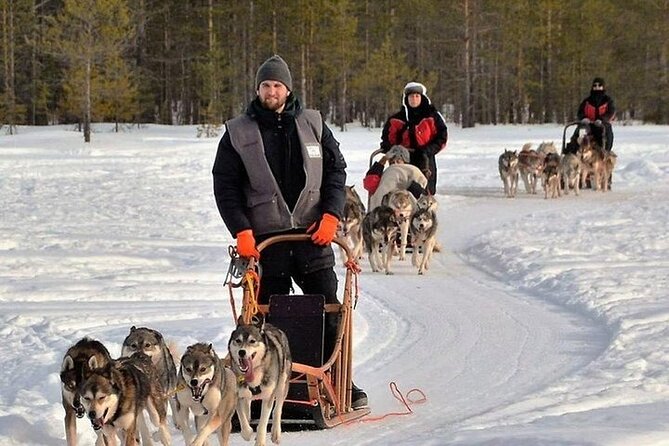 5KM Husky Sled Ride from Levi - Snow conditions and early-season cautions