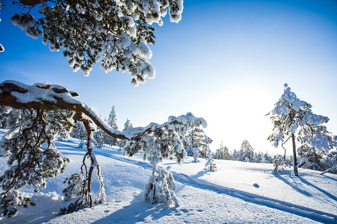 All Day Snowmobile Driving - Is $319.50 a fair price?