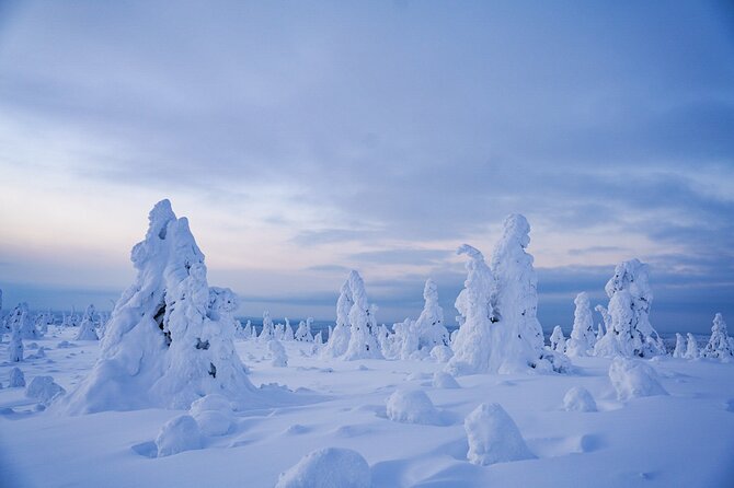 Arctic Adventure through Magical Frozen Forests of Riisitunturi - Key points at a glance