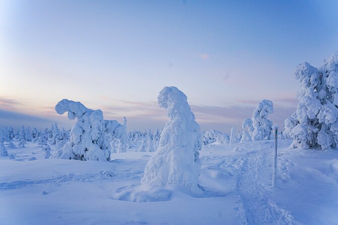 Arctic Adventure through Magical Frozen Forests of Riisitunturi - Why Riisitunturi makes a special winter day trip