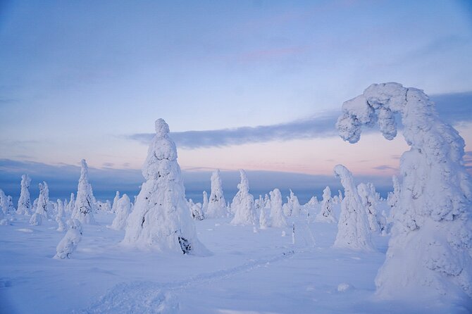 Arctic Adventure through Magical Frozen Forests of Riisitunturi - A campfire meal in the cold