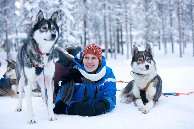 Arctic Circle Family Day - First stop: the husky ride