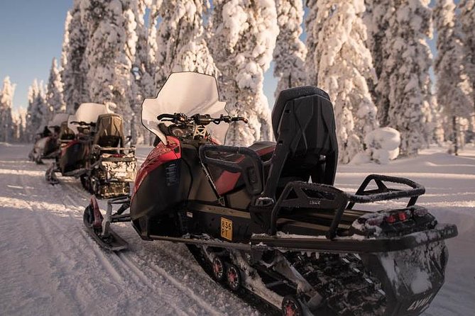 Arctic Circle Snowmobile Safari for Beginners in Rovaniemi - What happens during the one-hour program