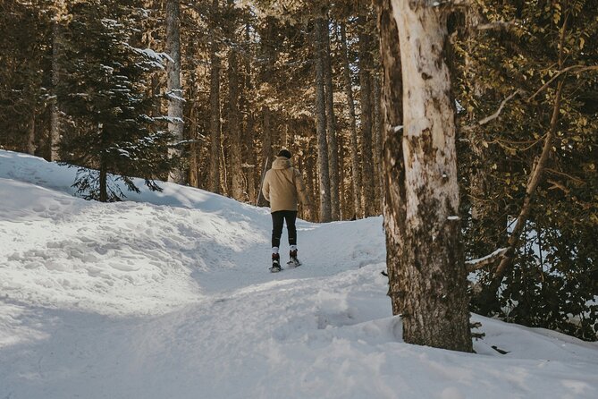 Arctic Darkness & Starlight Adventure with Snowshoes - Starting at Sodankylä bus station