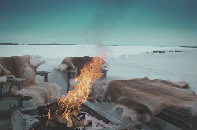 Arctic Darkness & Starlight Adventure with Snowshoes - Why the private format changes the evening
