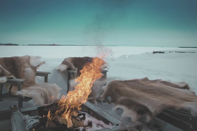 Arctic Darkness & Starlight Adventure with Snowshoes - Timing, weather, and cancellation rules