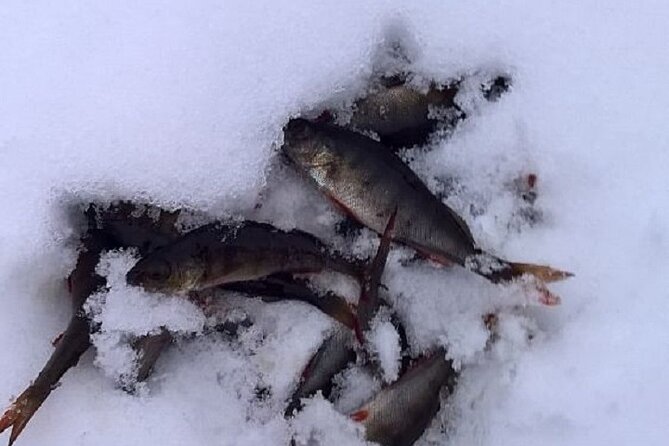 Arctic Day with Ice Fishing and Floating - Ice floating is the memorable centerpiece