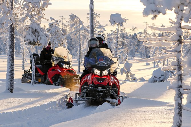 Arctic Delight - Visit to Santa's Village and snowmobiling to reindeer farm - The reindeer farm and the short sleigh ride