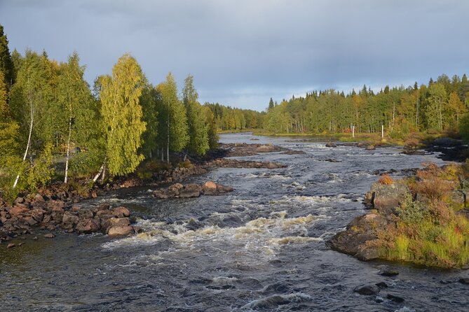 Arctic Wilderness Hike with Fire-making - What You Learn Among the Trees