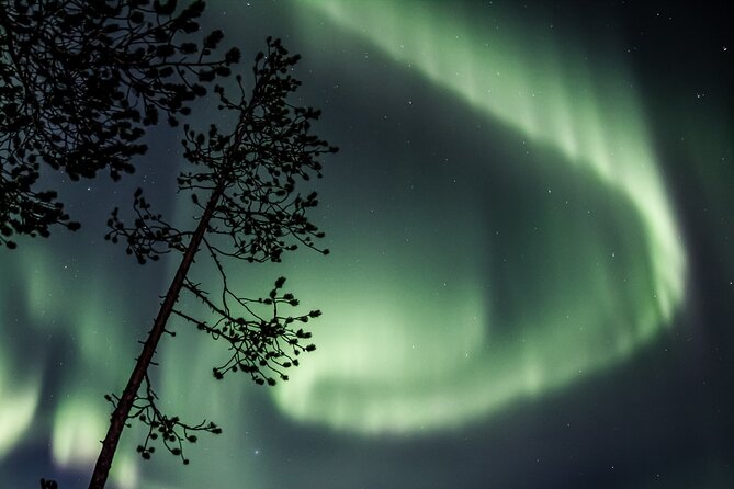 Aurora Borealis Picnic in Rovaniemi - Practical details before you book