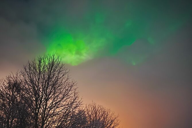 Aurora Hunt with BBQ in Rovaniemi - Searching around Rovaniemi after dark
