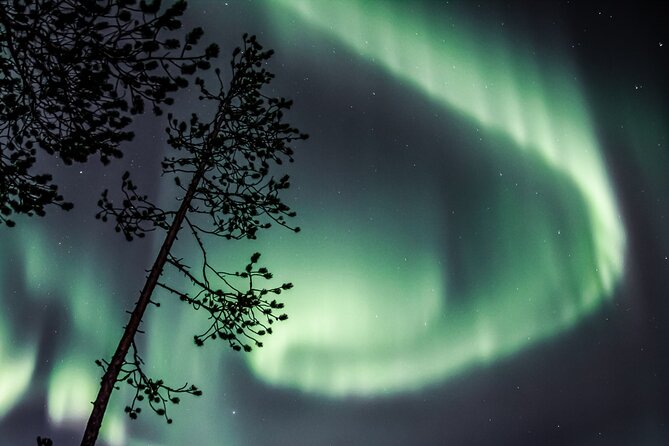 Aurora Hunting Photo Tour from Rovaniemi with Pickup - What happens during the four-hour hunt
