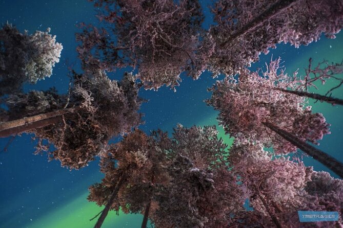 Aurora Photography Tour 3 HOURS - Photography in the dark Finnish winter