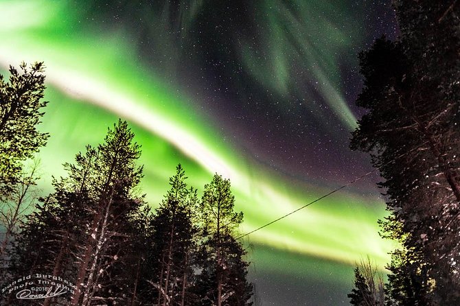 Auroras - Northern Lights Tours by Aurora Experts - Rovaniemi - Key points before you book