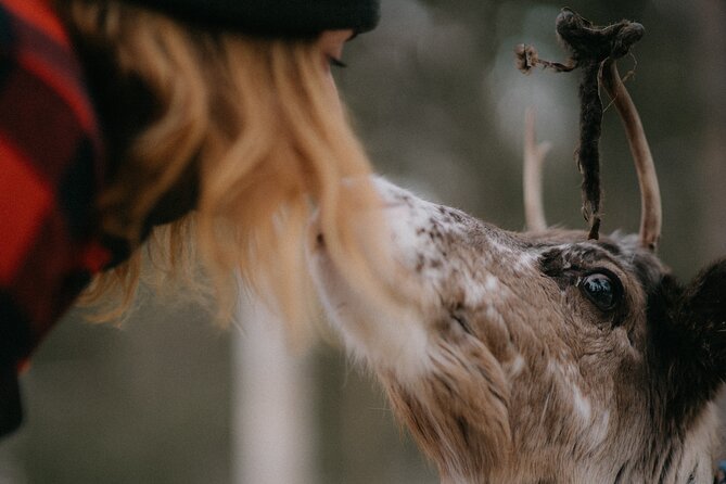 Authentic Reindeer Experience and Ice Fish with Lunch in the Wild - Who will enjoy this winter outing
