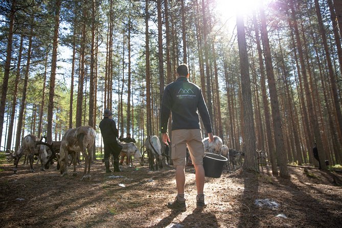 Authentic Reindeer Farm and Canoe Experience from Rovaniemi - What the $155.18 price really covers