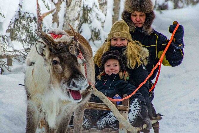 Authentic Reindeer Farm Experience in Rovaniemi - Price and what you receive for $120.15