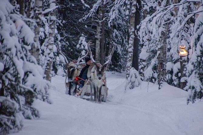 Authentic Reindeer Farm Experience in Rovaniemi - Who should choose this farm visit