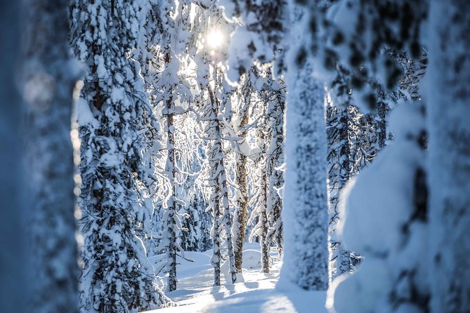 Backcountry skiing adventure - The wooden shelter and open-fire pause