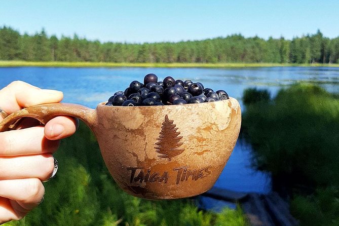 Berry Picking in a National Park - From Kiasma to the quiet forests of Liesjärvi