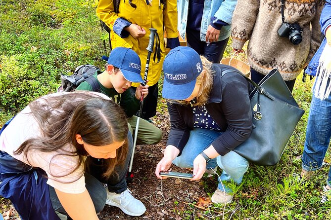 Berry Picking in a National Park - The return walk through Liesjärvi