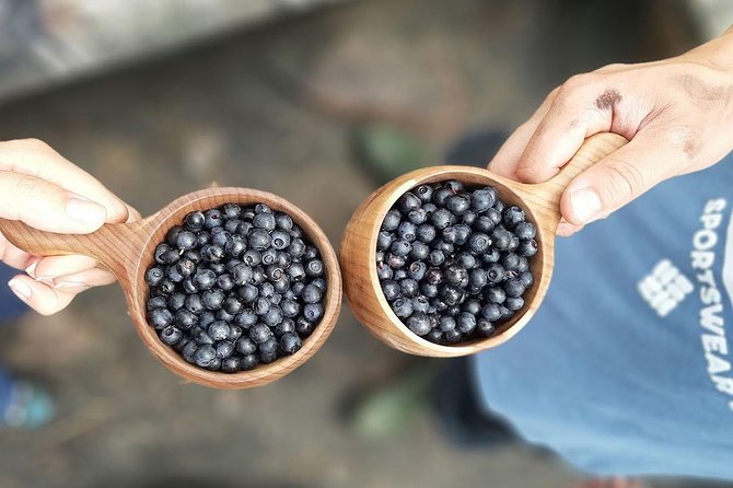 Berry Picking in a National Park - What the small group changes
