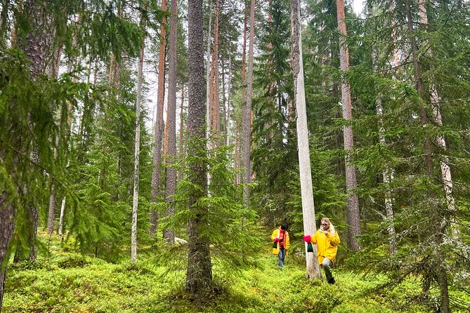 Berry Picking in a National Park - Sustainability is part of the design